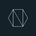 Neoris logo