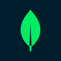 mongoDB logo