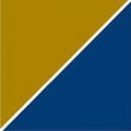 PrecisionMedicineGroup logo