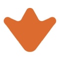 Duckbill logo