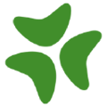 Bloomerang logo