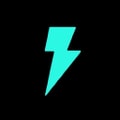 Flink logo