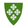 Eneba logo