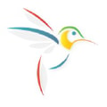ColibriCode logo