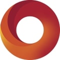 DDN logo